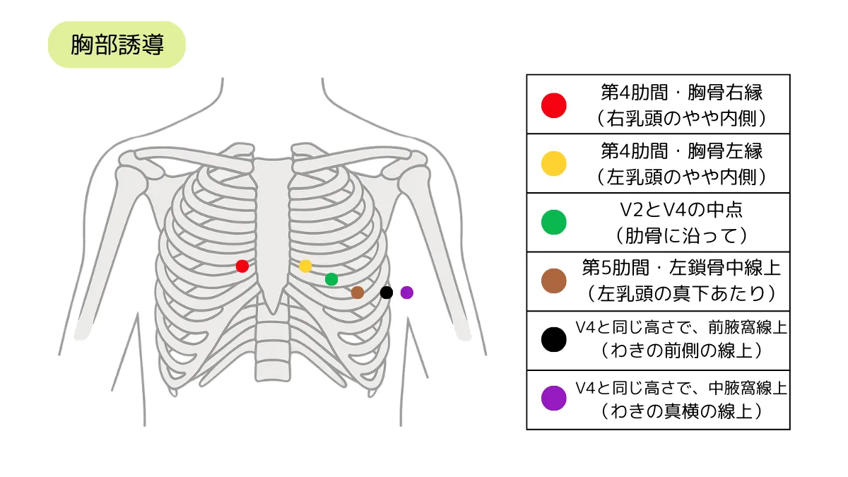 12 誘導 心電図 見方