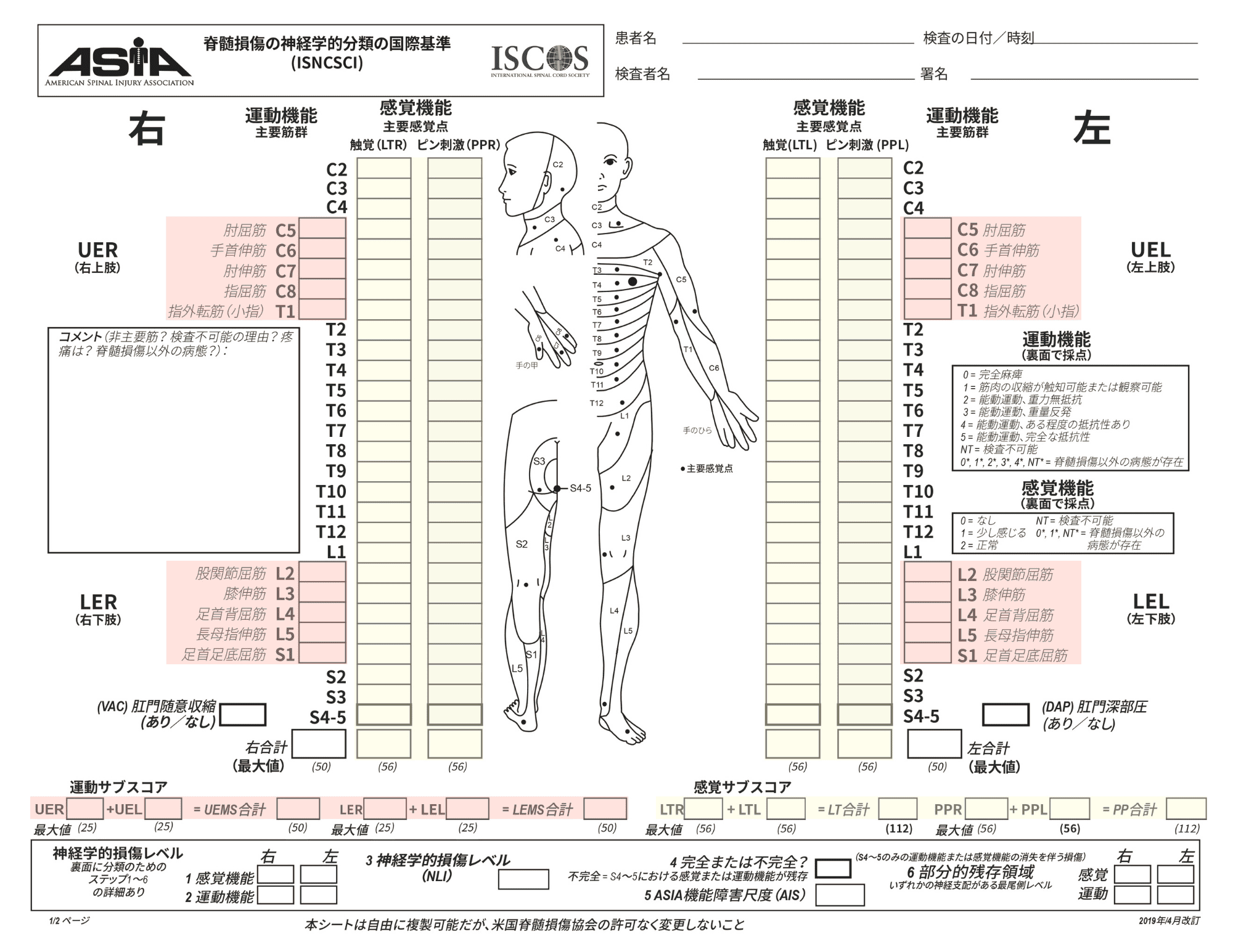 パッと確認】ASIA分類｜脊髄損傷レベル・症状の評価 | 医療キャリアナビ