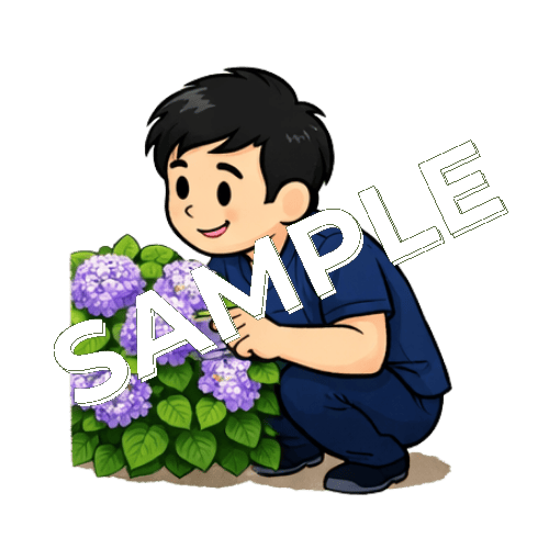 道端に咲いている紫陽花を見る男性鍼灸師のイラスト