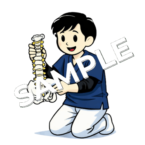 背骨の模型を持っている男性理学療法士のイラスト