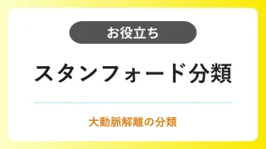 スタンフォード分類｜大動脈解離のA型・B型の違いと検査所見 イメージ