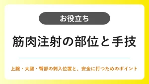 筋肉注射の部位と手技｜上腕・大腿・臀部の刺入位置 イメージ
