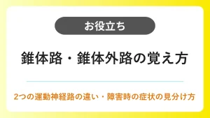 錐体路と錐体外路の違い｜覚え方と障害時の症状 イメージ