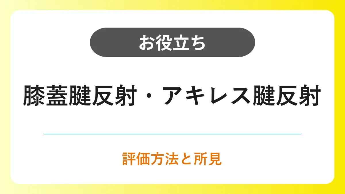 膝蓋腱反射・アキレス腱反射の評価方法と所見の見方 イメージ