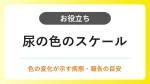 尿の色でわかること｜正常色・異常の見分け方と報告の目安 イメージ